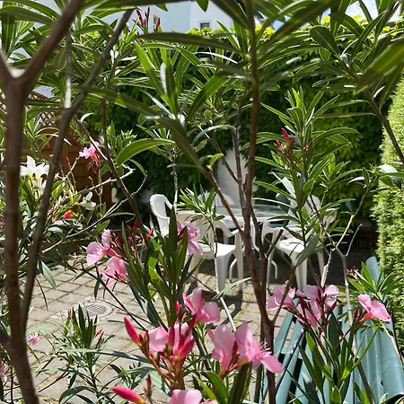 Guest house Am Renner